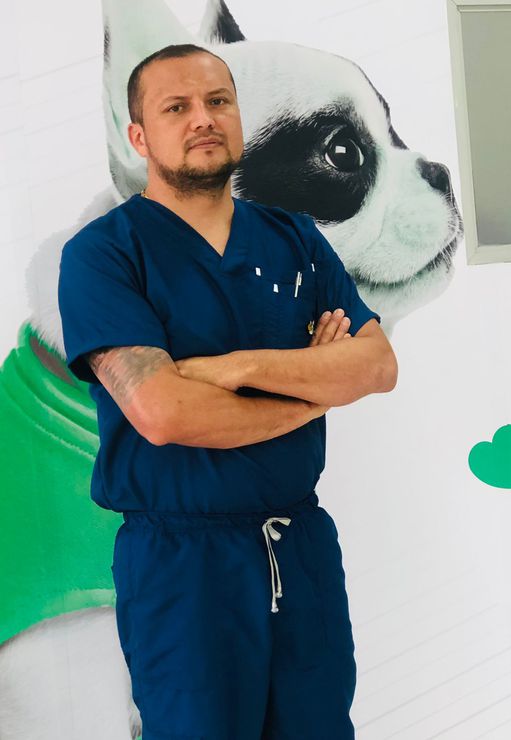 Urgencias veterinarias 24 horas MODELIA